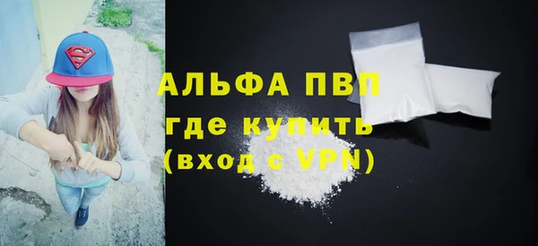 PSILOCYBIN Аркадак