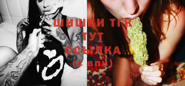 PSILOCYBIN Аркадак