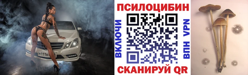 Галлюциногенные грибы Cubensis Мегион